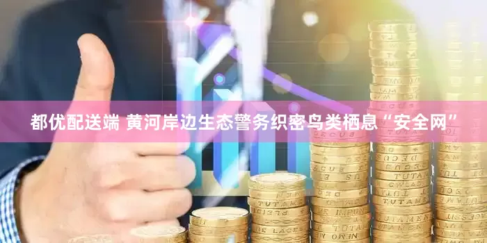 都优配送端 黄河岸边生态警务织密鸟类栖息“安全网”