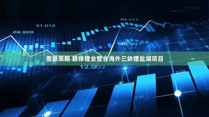 鹰眼策略 赣锋锂业整合海外三块锂盐湖项目