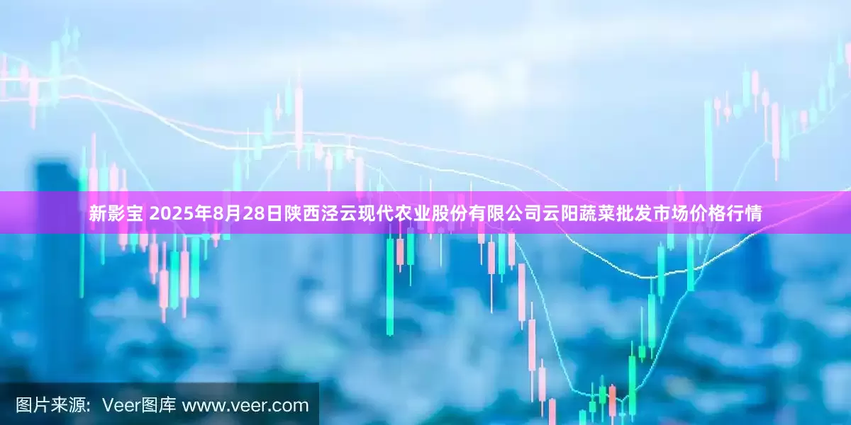 新影宝 2025年8月28日陕西泾云现代农业股份有限公司云阳蔬菜批发市场价格行情