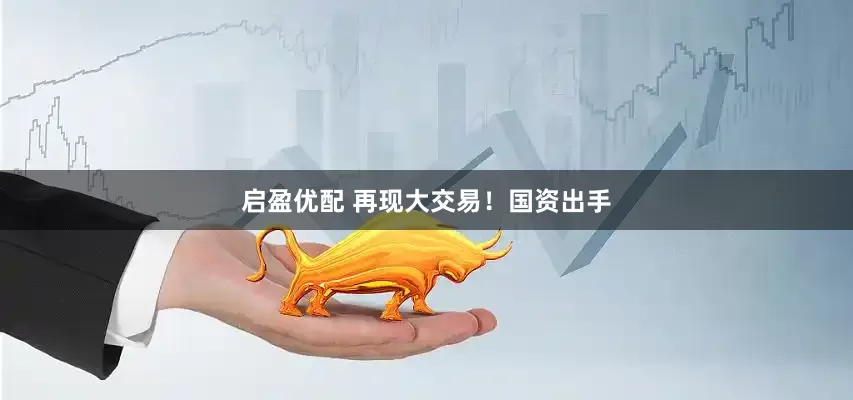 启盈优配 再现大交易！国资出手